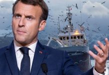 EU report exposes Macron’s huge fishing bluff as sector tiny in France despite Brexit fury | UK | News (Reports)