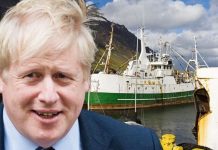 EU snub: Iceland opened door to special fishing partnership for Brexit Britain | UK | News (Reports)