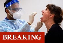 England’s coronavirus cases plummet 28% week on week – lowest total since October 14 | UK | News (Reports)
