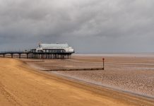 Exciting opportunity in managing inshore fisheries and conservation in the North Eastern district