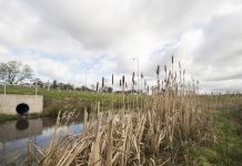 First phase of research paves the way for further studies on microplastics pollution