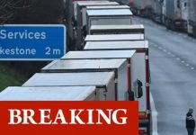 France border chaos unlocked as Covid testing to break deadlock – deal just ‘hours’ away | UK | News (Reports)