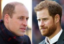 Harry and William caught in impossible dilemma over Panorama interview and The Crown | Royal | News (Reports)