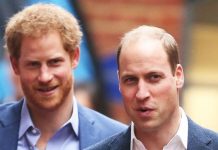 Harry and William to skip brotherly Christmas tradition for second year running | Royal | News (Reports)