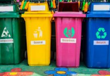 How Schools Can Combat Waste