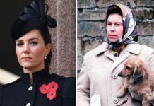 Kate Middleton ‘especially upset’ at dog Lupo’s Christmas absence due to Queen’s corgis | Royal | News (Reports)