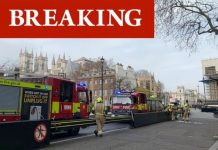 London firefighters scramble to Westminster – smoke seen rising over House of Parliament | UK | News (Reports)