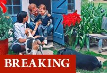 Meghan Markle, Prince Harry and Archie’s Christmas card finally released to fans | Royal | News (Reports)