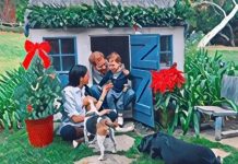 Meghan Markle’s son Archie looks ‘just like’ Prince Harry in new royal Christmas card | Royal | News (Reports)