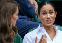Meghan and Harry ‘rubbed Kate and William up the wrong way from start’, claims expert | Royal | News (Reports)