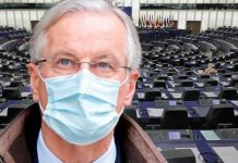 Michel Barnier on brink as eurosceptic MEPs fume at Brexit negotiator while talks stall | UK | News (Reports)