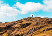 New sites to test how connecting people with nature can improve mental health