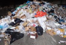 North East households urged not to become ‘accidental’ waste criminals this Christmas