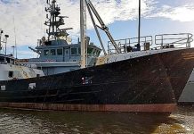 One of 69 Albanians caught hiding in fishing vessel convicted with murder | UK | News (Reports)