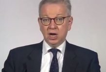 Only primary schools and years 11 and 13 to return to school on Jan 4, says Gove | UK | News (Reports)