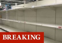Panic-buying chaos erupts AGAIN as supermarket shelves stripped bare ahead of Christmas | UK | News (Reports)