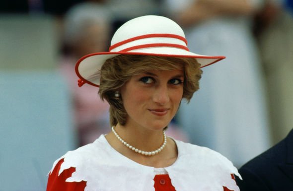 People's Princess: Diana sadly died in a tragic car accident in Paris in 1997 People's Princess: Diana sadly died in a tragic car accident in Paris in 1997