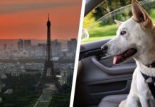 Planning a trip to Europe in 2021? Five things EVERYONE needs to know | UK | News (Reports)