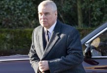 Prince Andrew news: Duke set to relaunch startup project with new director | Royal | News (Reports)