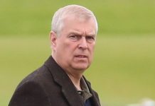 Prince Andrew’s family diary unearths fresh allegations in blow to his alibi | Royal | News (Reports)