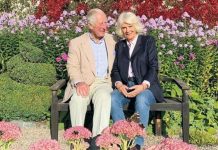 Prince Charles and Camilla’s hidden Christmas card detail shows passion ‘Did you notice?’ | Royal | News (Reports)