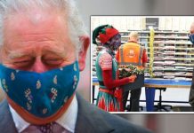 Prince Charles the postie! Duke erupts into laughter with elf during festive royal visit | Royal | News (Reports)