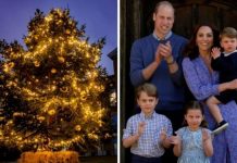 Prince George, Princess Charlotte and Prince Louis to be treated to HUGE Christmas tree | Royal | News (Reports)