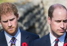 Prince Harry and Prince William back in touch after coronavirus panic | Royal | News (Reports)
