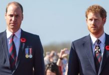 Prince Harry and William opened door for Meghan to speak out, says royal expert | Royal | News (Reports)