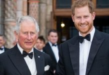 Prince Harry hailed as ‘his father’s son’ – demands actions not words on climate change | Royal | News (Reports)