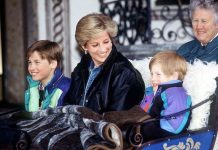 Prince Harry made subtle tribute to Princess Diana while doing humanitarian work in Africa | Royal | News (Reports)