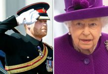 Prince Harry military titles: Duke ‘holding out hope’ Queen will reinstate them next year | Royal | News (Reports)