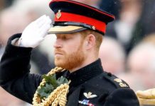 Prince Harry news: Harry’s ‘Nail in coffin’ for dream of keeping military honours | Royal | News (Reports)
