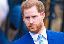 Prince Harry praises Netflix-style environmental streaming service amid The Crown backlash | Royal | News (Reports)