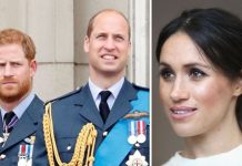 Prince Harry ‘aimed home-truths at Prince William’ in royal spat over Meghan Markle | Royal | News (Reports)