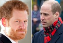Prince Harry’s blunt confession about living with Prince William: ‘Won’t happen again’ | Royal | News (Reports)