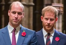 Prince William used cryptic statement to hint that ‘all was not rosy’ with Prince Harry | Royal | News (Reports)