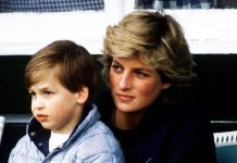Princess Diana repeatedly ‘voted for abolition of monarchy’ in front of Prince William | Royal | News (Reports)