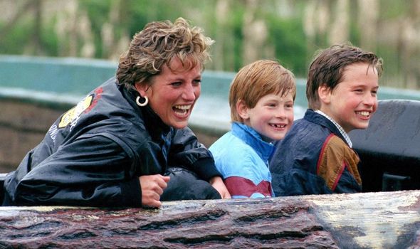 Princess Diana's sons on a log flume Princess Diana's sons on a log flume