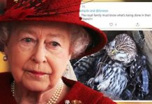 Queen Elizabeth II attacked for ‘disgraceful’ wildlife traps ‘used at Sandringham estate’ | Royal | News (Reports)