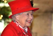 Queen Elizabeth II family tree: How many grandchildren does the Queen have? | Royal | News (Reports)