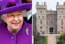 Queen and Prince Philip’s Windsor Castle Christmas tree delights fans – ‘Stunning!’ | Royal | News (Reports)