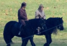 Queen braves freezing morning on her horse as she plans Christmas with Charles and Edward | Royal | News (Reports)
