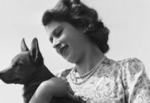 Queen news: Why the Queen doesn’t own corgis any more | Royal | News (Reports)