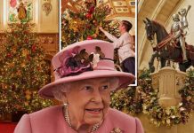Queen’s Christmas decorations unveiled at Windsor Castle including 20ft tree – PICTURES | Royal | News (Reports)