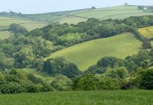RPA makes full payments to thousands of rural businesses
