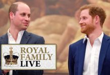 Royal Family news: Harry and William rift ‘much better’– Sussexes make sweet Xmas surprise | Royal | News (Reports)