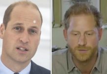 Royal Family news: William and Harry fight charity ‘publicity battle’ over environment | Royal | News (Reports)
