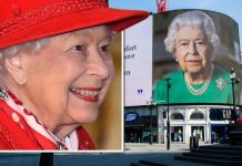 Royal coronavirus hero: Queen lauded for being best at keeping spirits up during pandemic | Royal | News (Reports)