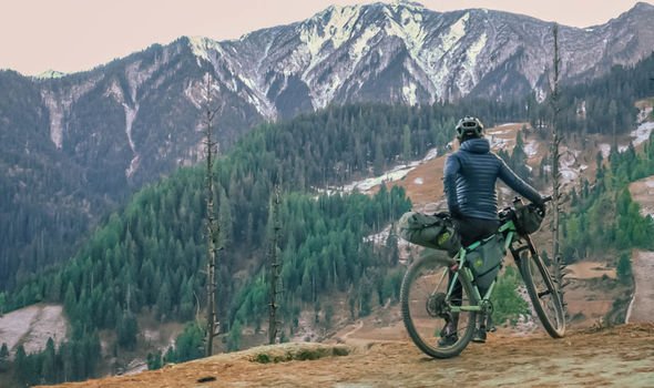 Shand Cycles Shand Cycles